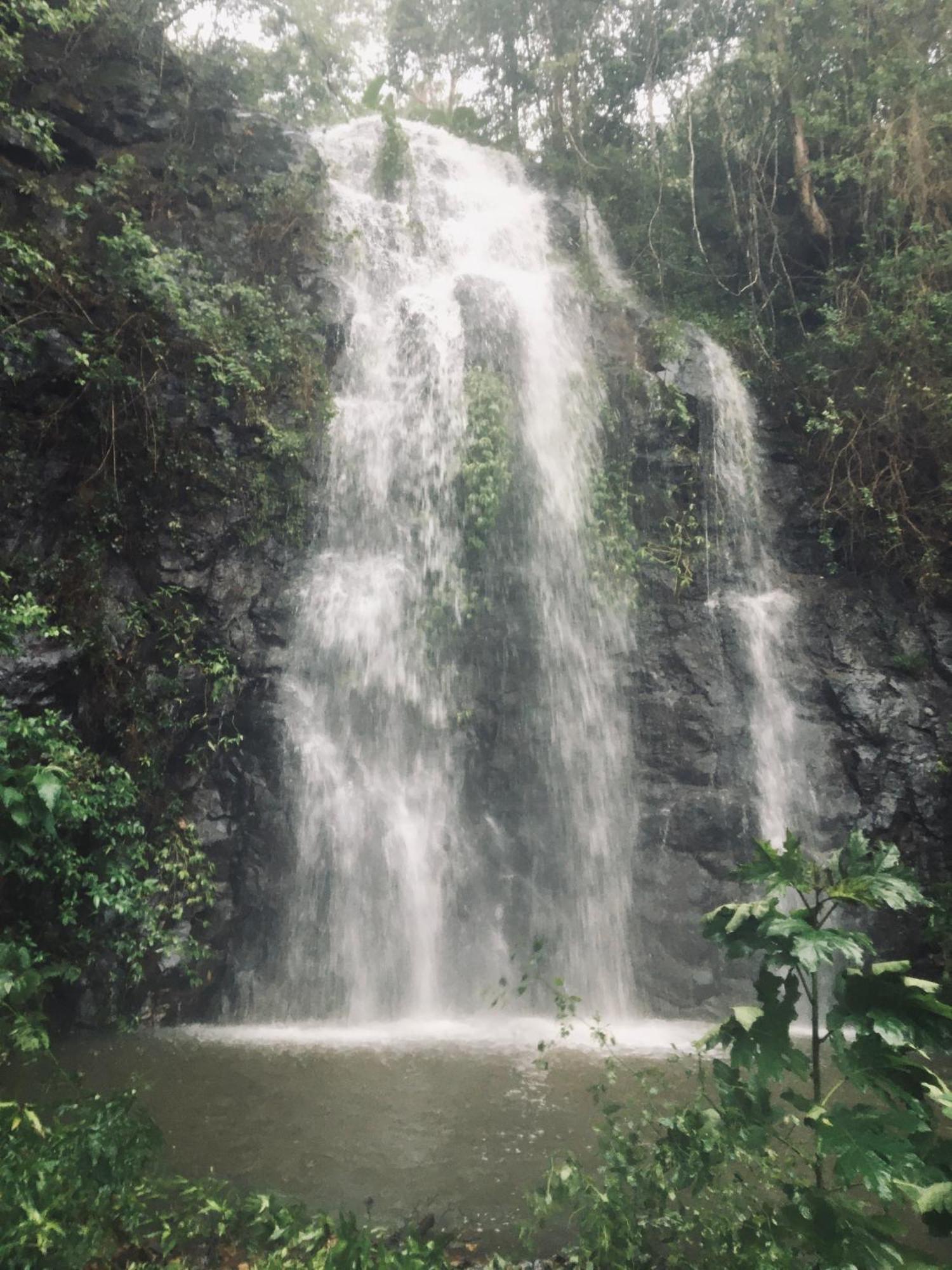 Nimbin Waterfall Retreat Hotel Exterior photo