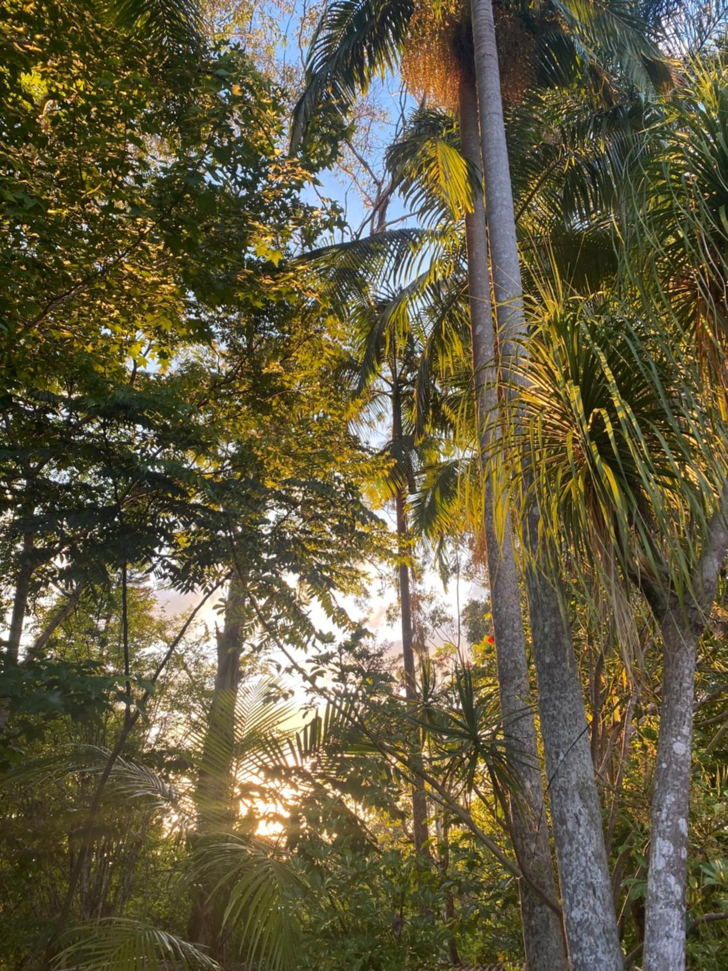 Nimbin Waterfall Retreat Hotel Exterior photo