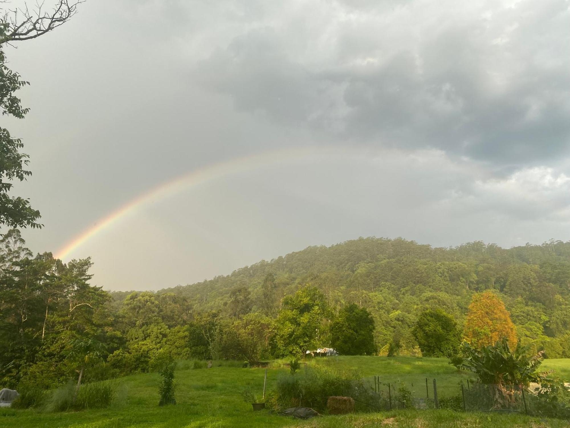 Nimbin Waterfall Retreat Hotel Exterior photo