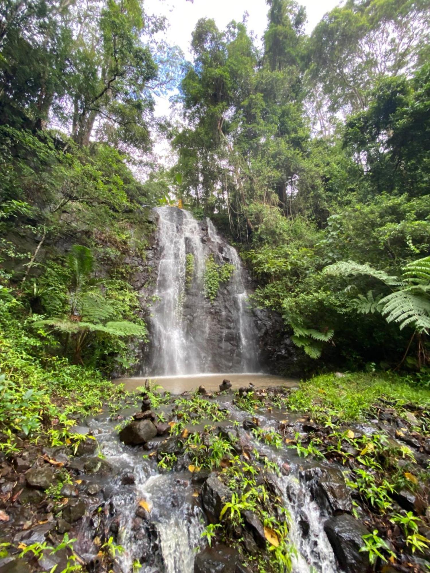 Nimbin Waterfall Retreat Hotel Exterior photo